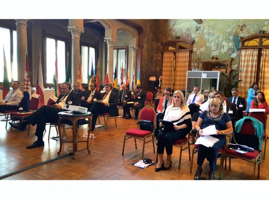 Predsjedateljica Izaslanstva PSBiH u PS Srednjoeuropske inicijative Monika Tomić sudjelovala na sastanku Odbora za kulturu PSSEI